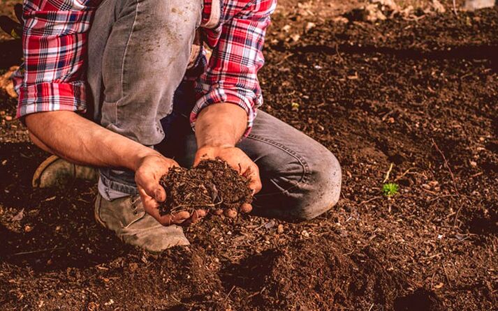Parasitic infection through the ground