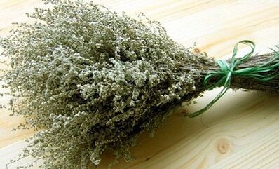 Wormwood as a means of fighting parasites