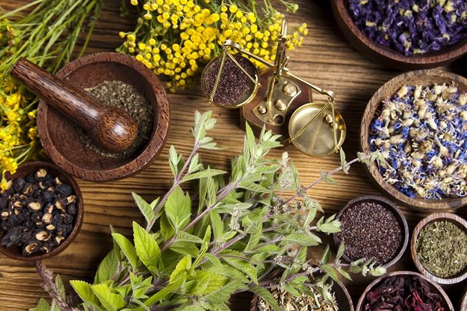 herbs to eliminate parasites from the body