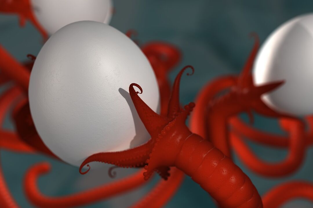 worm parasitic on humans